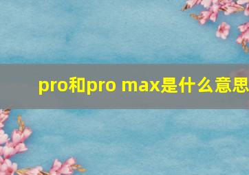 pro和pro max是什么意思